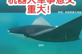 #人工智能 #军事科技 #科技创新 #仿生机器人 西北工业大学研制的魔鬼鱼仿生机器人爆红网络，台知名军事评论家点评军事意义非常重大。视频封面