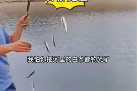 白条的克星七星串钩，建议还是要少用点，要是把河里的鱼钓光了，以后大家都没得玩了 #虾皮串钩 #七星钩钓小白条 #串钩 #钓鱼 #钓鱼教学视频封面