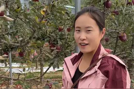 今天带着弟弟妹妹来到甘肃天水，花牛苹果的主产区，这里的苹果树真是太壮观了…#我的乡村生活 #记录真实生活视频封面