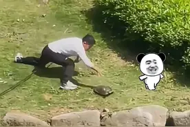 钓鱼佬大腿都拍肿了#原来钓鱼才是抖音运动顶流 #钓鱼的乐趣只有钓鱼人懂 #钓鱼人就是这么疯狂 #钓鱼人 #开启2025新年钓鱼计划视频封面