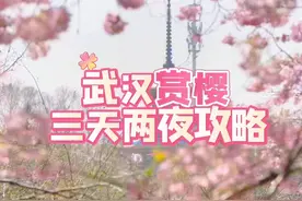 叮～向你发出了一份赏樱邀请～#相约湖北赏樱花  @湖北文旅 #寻美武汉 #武汉旅游攻略 #武汉樱花 #旅行推荐官视频封面