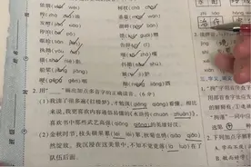 五上期末字词句，课文填空期末真题，阅读理解专项卷。归类复习，更有针对性，更有倾向性，更有把握。