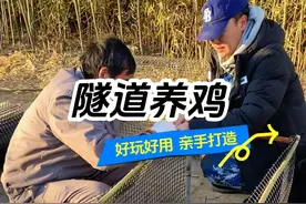 隧道养鸡鸡笼打造全过程记录，欢迎大家来庄园认养、寄养鸡鸭鹅兔子鹌鹑小狗小猫等小型动物，有专人看护喂养的#亲手打造世外桃源 #农村散养土鸡 #生态散养 #鸡笼制作视频封面