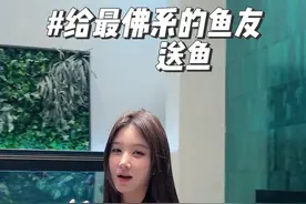 当你有一个佛系鱼友 #龙鱼 #水族 #龙卷疯陈一#龙鱼缸 #红龙视频封面