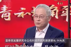 2025年中央一号文件：不得要求村庄规划编制全覆盖#中央一号文件视频封面