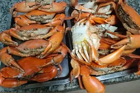青蟹挖起来 #赶海 玩泥巴的乐趣，#新农人计划2025 挖到底，绝不放弃#螃蟹🦀 #真实户外 #原创作品视频封面