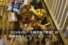 胖猫事件94吨多外卖堆满长江大桥。3月15日，央视新闻公开披露了“胖猫”跳桥事件。2024年4月，一个网名叫“胖猫”的湖南小伙儿在重庆长江大桥跳江身亡后，迅速发展成为全国性公共话题，引发网民持续关注。来自全国各地的大量外卖祭奠订单堆满长江大桥的行人通道，最后垃圾清运量达到94.6吨。其中有人一次性点8000元的外卖送到桥上。#央视新闻披露胖猫事件调查结果 #胖猫事件94吨多外卖堆满长江大桥 #有人为胖猫一次性点了8000元外卖视频封面
