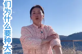 陕北地处黄土高原，冬天能达到零下20度左右，一年只能种一季，后来退耕还林慢慢的大家都开始建大棚#新农人计划2024 #返乡创业新农人 #用抖音记录我的真实生活  #记录我的种植生活 #平凡的世界视频封面