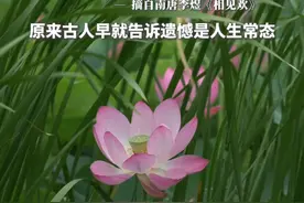 “自是人生长恨水长东”，原来古人早就告诉遗憾是人生常态。#古诗词 #治愈系风景 #自是人生长恨水长东 #李煜 #烟台