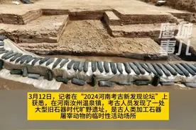 极为罕见！河南#汝州首次发现阿舍利石器组合视频封面
