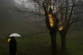 我欲等你 又何惧一两个春秋#小说视频封面