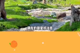 记录本身就是一件美好且有意义的事情#朋友圈  #分享欲 #九宫格 #朋友圈的意义 #内容启发搜索视频封面