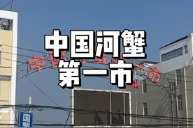 中国安丰，号称中国河蟹第一市，全国每8只大闸蟹视频封面