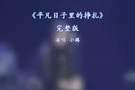 平凡日子里的挣扎小璐完整版 平凡日子里的挣扎完整版视频封面