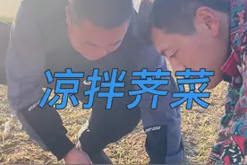 农村生活农村美食凉拌荠菜，曾经儿时吃过的野菜曾经那逝去的青春 #内容启发搜索 #舌尖上的乡村美食 #2025新农人计划 #农村美食 #农村生活 @DOU+小助手视频封面