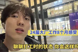 24届毕业8个月大厂感受分享。我真的老实了吗。视频封面