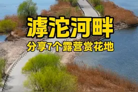 3月21日分享石家庄滹沱河边本周末适合露营赏花的地方 #旅行大玩家 #河北文旅推荐官 #石家庄露营视频封面