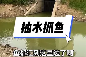 整条河干了，就剩下一个三米深闸口，今天抽干它！ #我的乡村生活 #真实户外 #户外抓鱼 #农村户外 #逮鱼