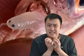 长了寄生虫“缩头鱼虱”的鱼还能吃吗？ #自然奇境科普季 #寄生虫视频封面