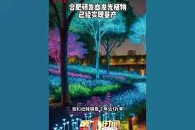 合肥一企业研发的自发光植物，已经量产，销量上万！#奋发有为往前赶 #安徽上新啦视频封面
