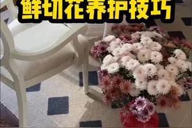 用我近10年买花插花经验，分享一些鲜切花养护技巧#好看的花一定要分享给你 #花与生活 #鲜花养护 #鲜花怎么醒花 #好喜欢我的家
