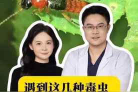 遇到这几种毒虫正确的处理方式#基孔肯雅热#隐翅虫#臭虫#止痒