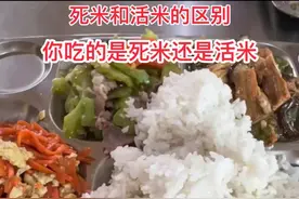 水都分死水和活水，所以米也分死米和活米。好米和不好的米是有区别的，米和米有着很大的区别，一个视频教会你如何区分，快回家看看你家的米，评论区晒一下你家的米饭#死米和活米  #胚芽米 #学校食堂 #抖音扶持 #死米视频封面