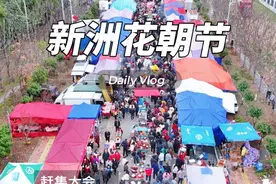 2025年武汉新洲旧街花朝节 如火如荼的进行中 依旧是人山人海呀😝 #花朝节 #赶集 #武汉美好推荐官  #航拍最美家乡 #记录家乡美景视频封面