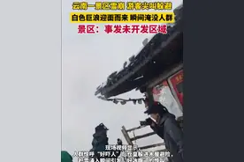 云南一景区雪崩 游客尖叫躲避，景区：事发未开发区域视频封面