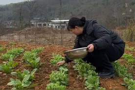 回到出租房就开始卖废品，66块钱还不够换锁心，被人塞东西进去，全家被锁门外了，今天很倒霉，还好我的菜地大丰收啦#日常vlog #记录日常视频封面