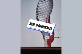 肋骨外翻不能练腹肌！ #肋骨外翻 #体态纠正 #健身干货 #骨盆前倾视频封面