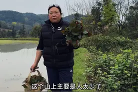 这种挖野菜的快乐只有农村才有吧#尝一口春天的味道视频封面
