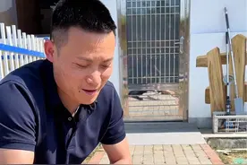 捡到流浪小边牧的第二天，状态不错，伤口也在慢慢变好 #流浪狗视频封面