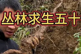 丛林求生五十 这个小伙在山上探索悬崖听起了民间交响乐，还挖到了两颗巨无霸山药，快来看看发生了什么吧#荒野求生 #三农 #原创作品 #户外 #原创视频视频封面