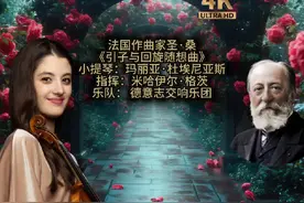 法国作曲家圣·桑的《引子与回旋随想曲》赏析 #古典音乐视频封面