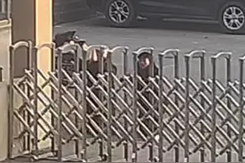 当消防队门口来了两名“不速之客”时 网友：果然勇敢的人先得到“小熊”（任城大队）视频封面