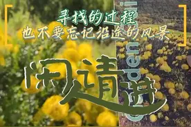 鹤望兰的叶子有窄细也有宽厚，随着环境从干旱到湿润、从寒冷到炎热的变化，植物的叶片形态也随之发生变化，也充分体现了南非气候的丰富多样性……#闲人请进 #鹤望兰 #大有学问视频封面