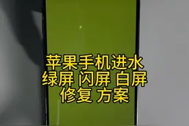 苹果手机绿屏的恢复方法 苹果手机进水绿屏闪屏白屏怎么解决 看这里☝️#手机进水 #手机维修