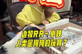 两人麻将局，边牧软软神级操作！清一色杠上开花，这牌技绝了！ #狗狗的日常 #狗子的智商有多迷 #麻将麻将抖起来 #狗狗的心思都写在脸上了 #狗子成精了 @边牧RR-爸爸视频封面