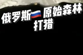俄罗斯原始森林冬季打猎第一视角 #俄罗斯生活#国外打猎 #原始森林视频封面