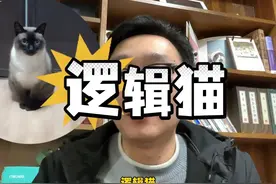 猫咪不同叫声的含义你了解多少？ #养猫经验分享 #新手养猫视频封面