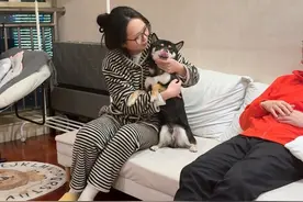寒心，真正的心寒 狗子是不是认为我天天在家不出去打猎所以只要老公在就不听我的话视频封面