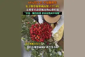 68元给个筐 草莓随便装，女子将草莓垒成山装了27.4斤，太重拿不动老板还热心帮忙提，“草莓一颗没浪费，拿回家熬成草莓酱”。视频封面