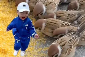 萌娃带领麻雀宝宝吃米#当人类幼崽遇到小动物 #小麻雀 #爱笑的宝宝惹人爱 #萌娃与萌宠 #人与动物和谐共处视频封面