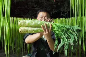 贡菜到底是不是用莴笋做的？收342斤鲜贡菜看看能出多少干贡菜视频封面