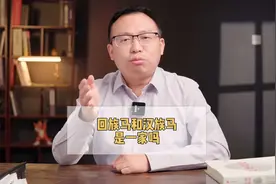 同样都是马姓，回族马和汉族马是同一家吗？#历史 #马姓 #涨知识视频封面