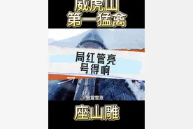 达摩老祖保佑，让弟兄们从年头红到年尾！#胡子故事会 #座山雕 #许大马棒 #东北胡子 #土匪视频封面