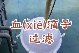 血滴子过滤视频封面
