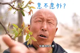 每年吃香椿的时候，她都会来掰几次核桃芽。。#搞笑 @抖音小助手视频封面
