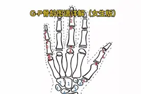 骨龄鉴定中GP图谱法详解女孩版#生长发育 #身高管理 #骨龄视频封面